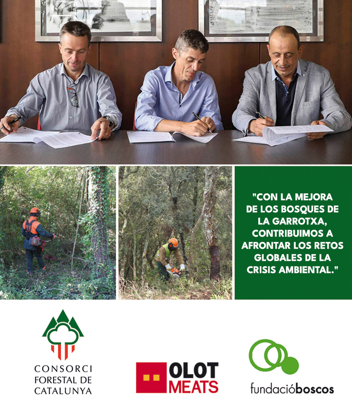 forestal_02_CAST forestal_02_CAST